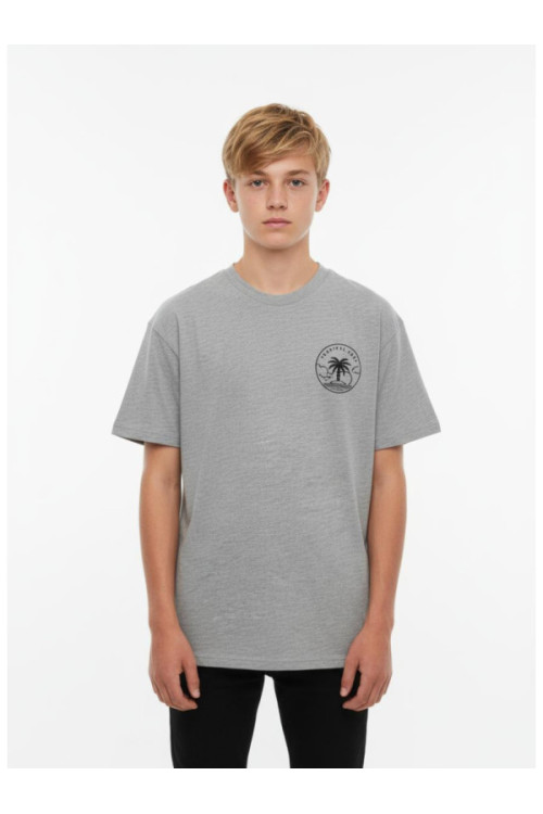 Mango T-Shirt with "Tropical Heat" Print 165cm (S), grey