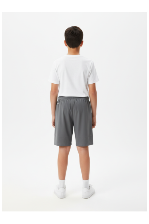 NEW BALANCE Šorti, krāsa: pelēka