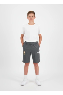 NEW BALANCE Šorti, krāsa: pelēka