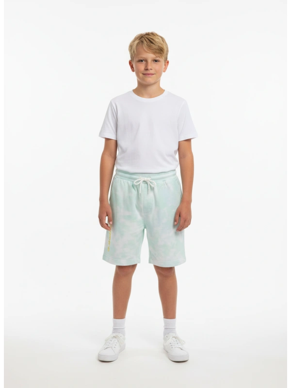 quiksilver Sporta šorti